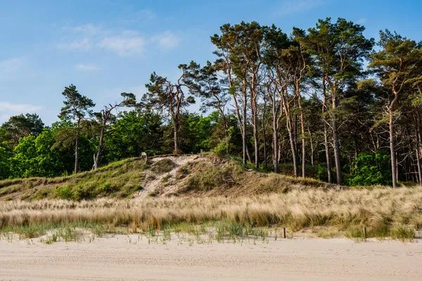Strand  Ferienwohnung Ostseenest Bernstein mit Terrasse & nur 800 m zum Strand