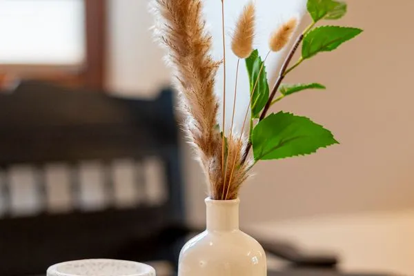  Lassen Hof Ferienwohnung 'Kornblume' in Brodersby an der Schlei