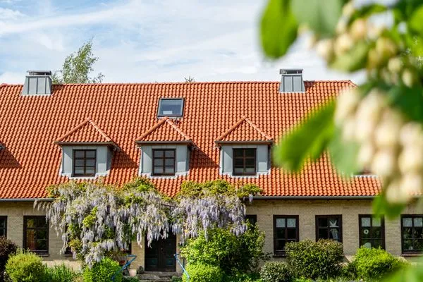  Lassen Hof Ferienwohnung 'Mohnfeld' in Brodersby an der Schlei