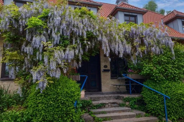  Lassen Hof Ferienwohnung 'Mohnfeld' in Brodersby an der Schlei