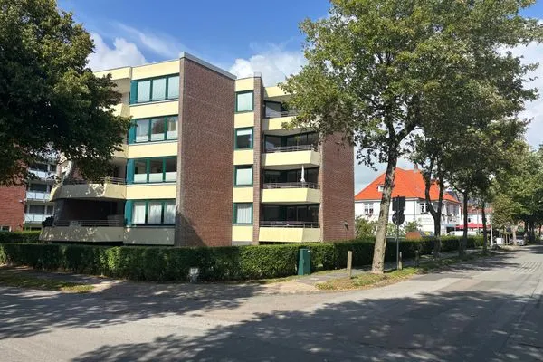 Hauptansicht  Strandmohn