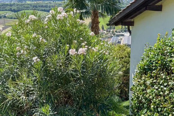   Casa Nido di Rondine