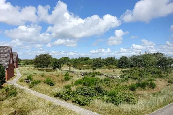 Landschaft  47 - 17