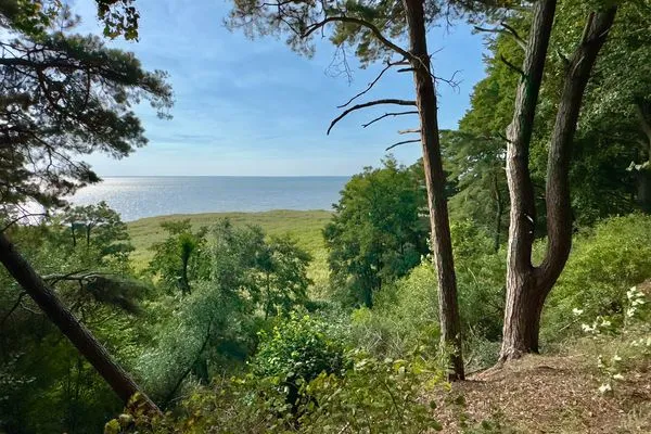 Landschaft  Ferienwohnung Haffmuschel mit Terrasse & 2 Schlafzimmern