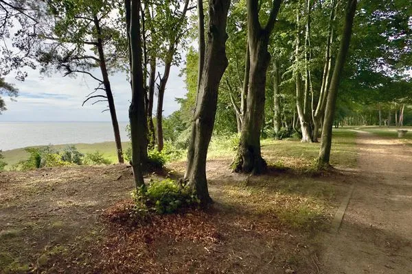 Landschaft  Ferienwohnung Haffmuschel mit Terrasse & 2 Schlafzimmern
