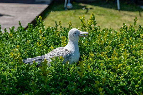  Min Hüskin Zingst - 