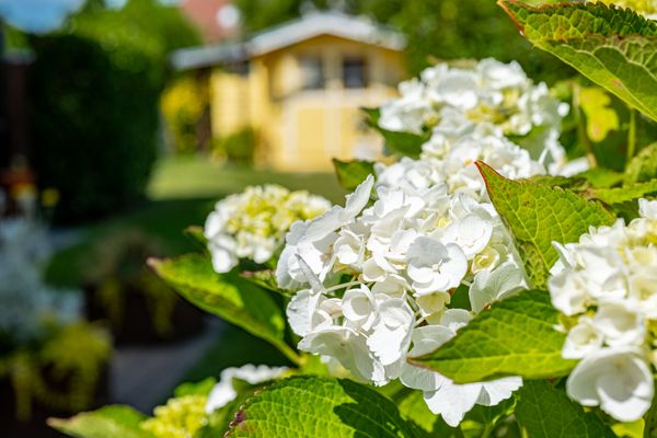  Min Hüskin Zingst - 