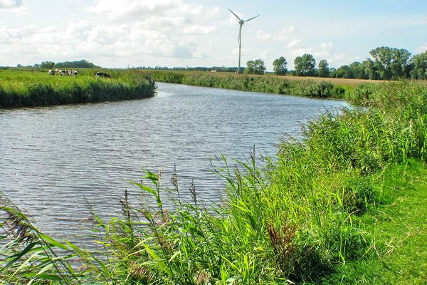  Ferienwohnung Windspiel Dornumersiel - Landschaft