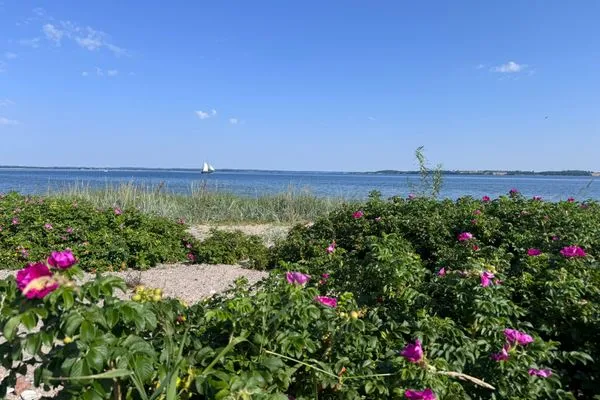Nur 500 m entfernt: Der Strand von Westerholz mit Badebrücke, DLRG, Kinderspielplatz  Nordkiek No. 8