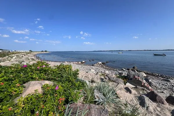 Nur 500 m entfernt: Der Strand von Westerholz mit Badebrücke, DLRG, Kinderspielplatz  Nordkiek No. 8