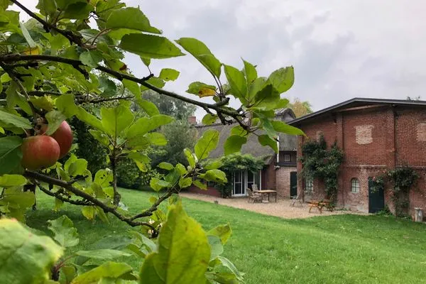Der große Garten bietet viel Platz und Apfelbäume - ist allerdings nicht eingezäunt  Bauernhaus am Mühlendamm