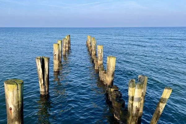  Rosenmeer