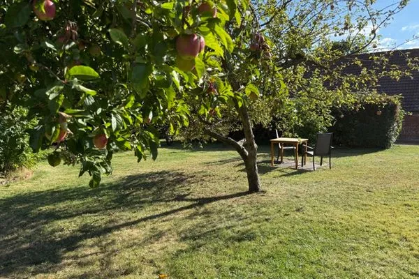 Gartenblick  Wohnung Ankerplatz EG