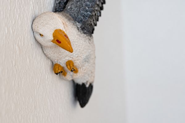  Ferienhaus Lippetal Carolinensiel - Dekoratives Detail