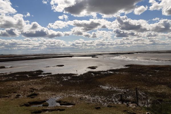  Deichnest Vollerwiek Welt / Vollerwiek - 