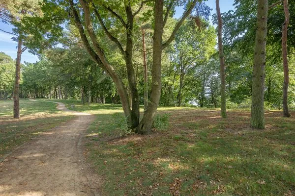 Landschaft  Ferienhaus Ferdinand mit Sauna, Kamin und Terrasse - Hunde willkommen