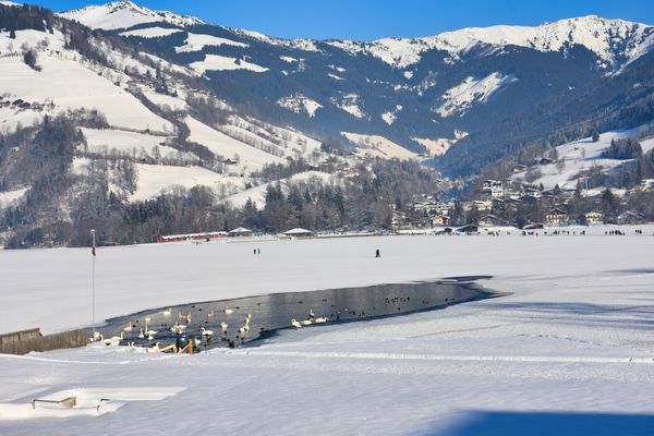  Apartment Laimgruber 2 Zell am See - Sport / activities