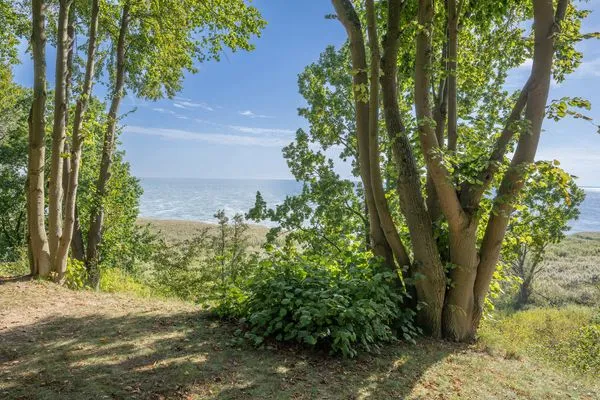 Landschaft  Ferienwohnung HaffSeits mit Balkon, Sauna und Fitnessbereich