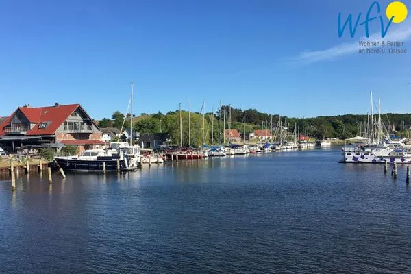 Landschaft Ferienhaus Having Ferienhaus Having