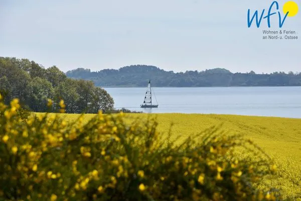 Landschaft Ferienhaus Having Ferienhaus Having