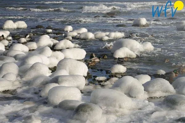 Landschaft Ferienhaus Having Ferienhaus Having