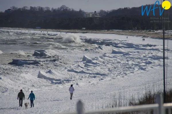 Landschaft Ferienhaus Having Ferienhaus Having