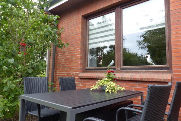 Midlum Zaunkönig Föhr  Die Grüne Insel - 