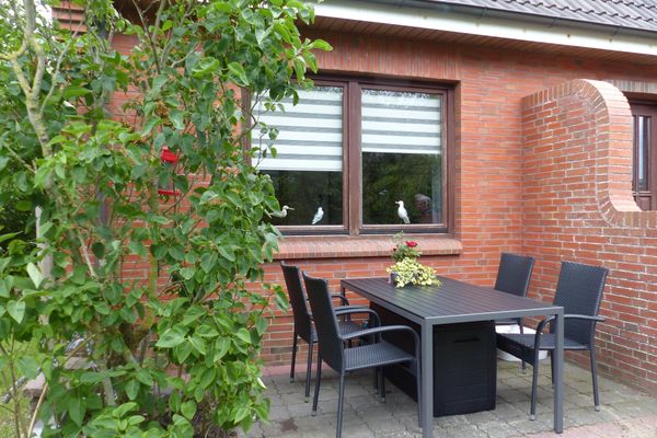 Midlum Zaunkönig Föhr  Die Grüne Insel - 