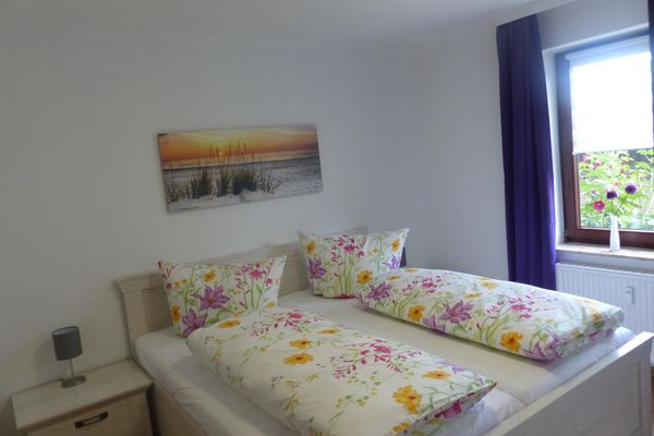 Midlum Zaunkönig Föhr  Die Grüne Insel - 