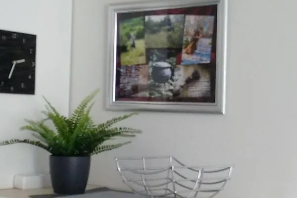  Haus Vier Jahreszeiten am See Kranich Nest 336