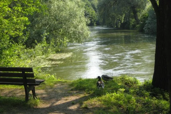 Landschaft  Ferienwohnung "Amperland"