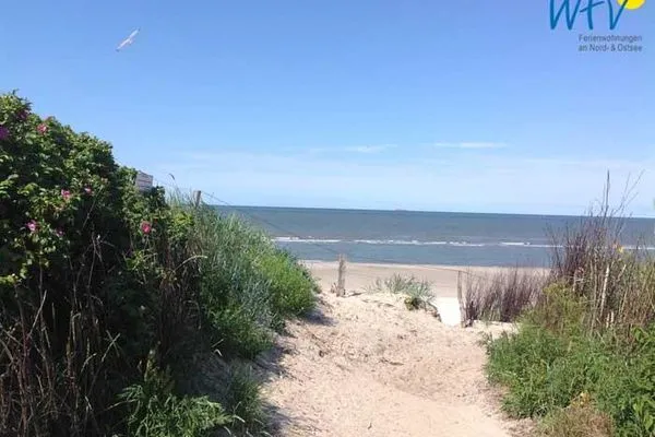 Nächster Aufgang zum Strand Bootshaus in den Dünen - 4 Ferienwohnung 2