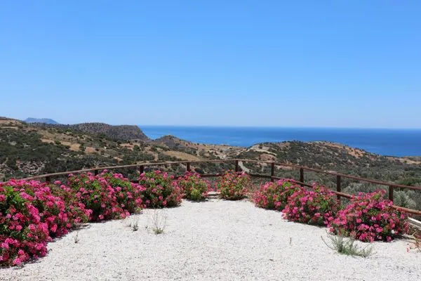 Sea view  Petra Mare Babis