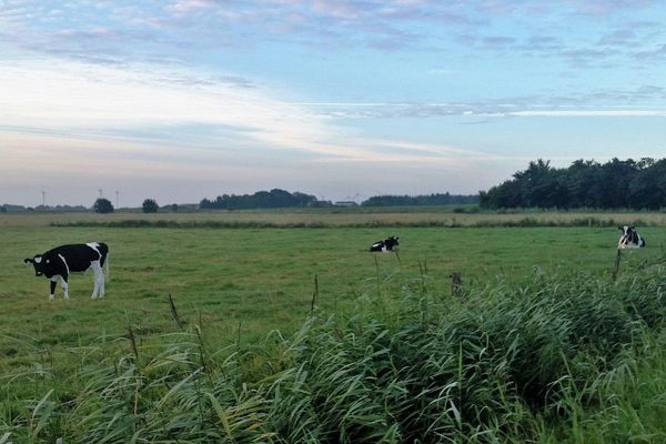 Ferienwohnung Diek in Humptrup – Bild 3 von 5