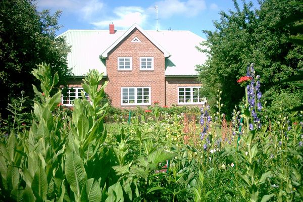 Ferienwohnung Ferienwohnung Rungholt in Reußenköge – Bild 1 von 5