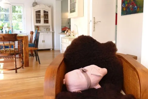 Sessel mit Deko in dem Ferienhaus Koggenhüs in Norddorf auf Amrum  Ferienhaus *Koggenhüs*