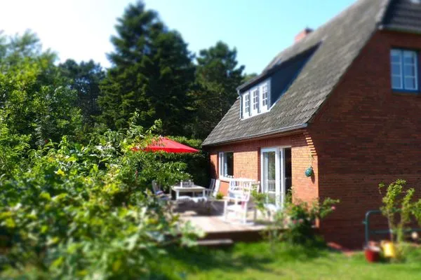 Garten im Sonnenschein am Ferienhaus Koggenhüs in Norddorf auf Amrum  Ferienhaus *Koggenhüs*
