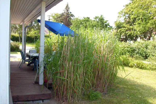 Terrasse  Ferienhaus Kaltenhofer Strandmuschel