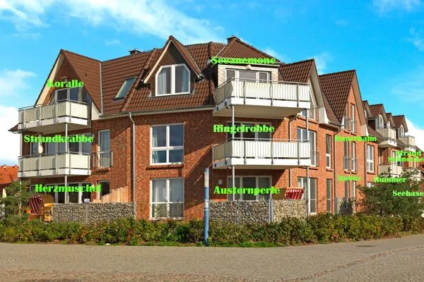 Hauptansicht Haus Südwester Strandschnecke