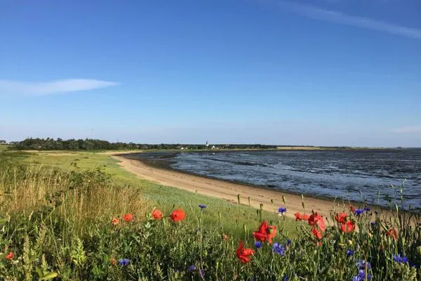 Wattenmeerblick vom Bungalow der kleine Prinz in Nebel auf Amrum  Bungalow *Kleiner Wattprinz*