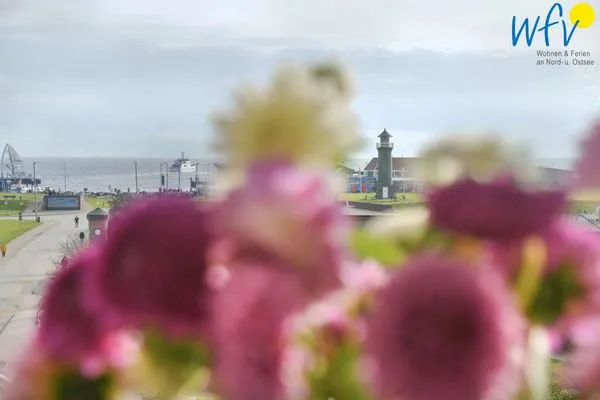 Dekoratives Detail Haus Wilhelmstraße 14 Ferienwohnung 1