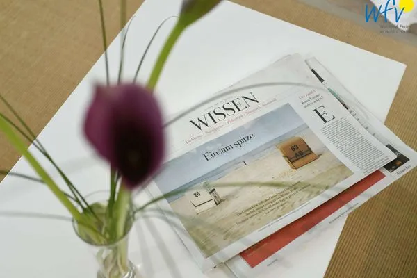 Dekoratives Detail Logirhaus Doyen Ferienwohnung Robbenplate