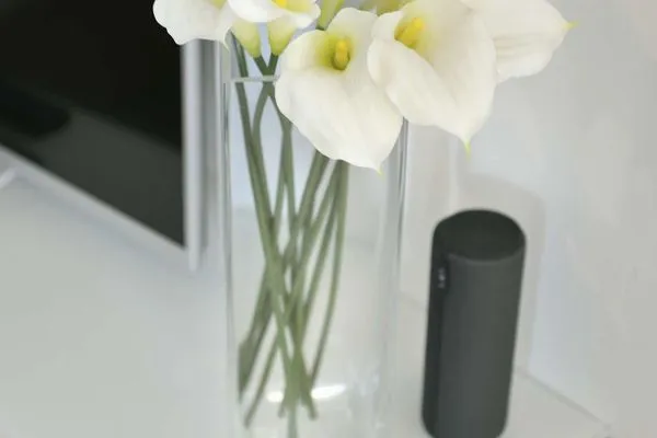 Dekoratives Detail Haus Nordland Ferienwohnung Gartenblick