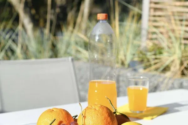 Dekoratives Detail Haus Nordland Ferienwohnung Gartenblick