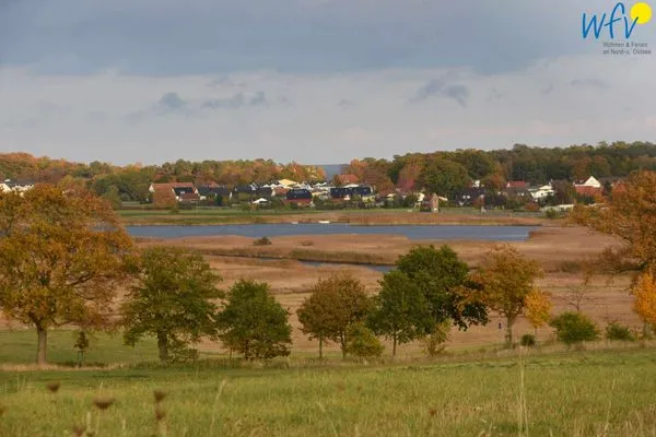 Landschaft Ferienhaus Having Ferienhaus Having