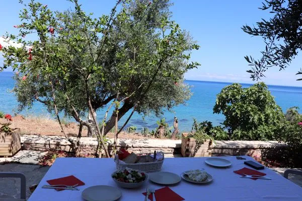 Terrasse  Blue Fox 1