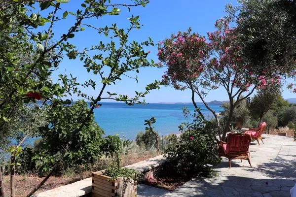 Terrasse  Blue Fox 1