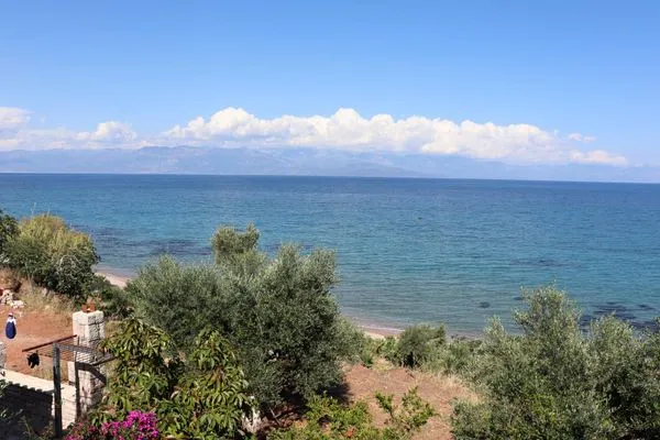 Meerblick  Blue Fox 1