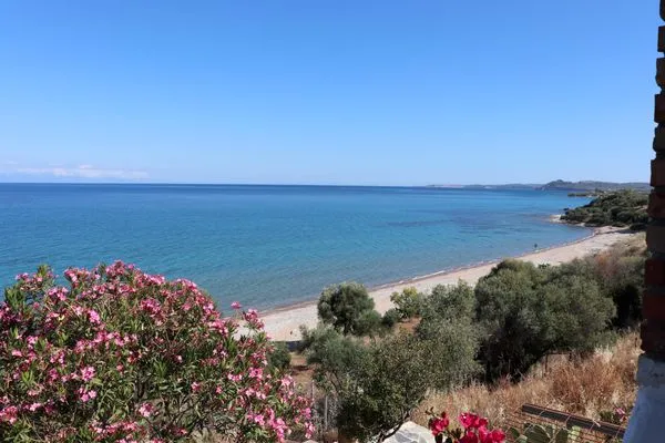 Meerblick  Blue Fox 1