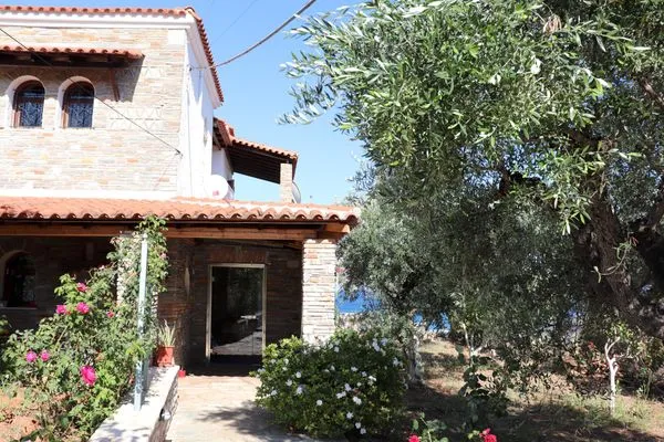 Hauptansicht  Blue Fox 1